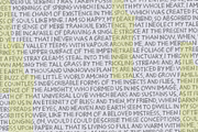 Light Sleeper font, a Handwritten Font by pizzadudedotdk (Thumbnail 3 of 4)