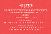 The Circus Display Font, a Handwritten Font by PremiumMockup (Thumbnail 4 of 5)