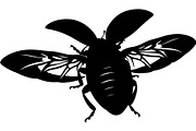 20 Ladybug Silhouette Mega, an Object Graphic by Designer_Momina (Thumbnail 7 of 20)