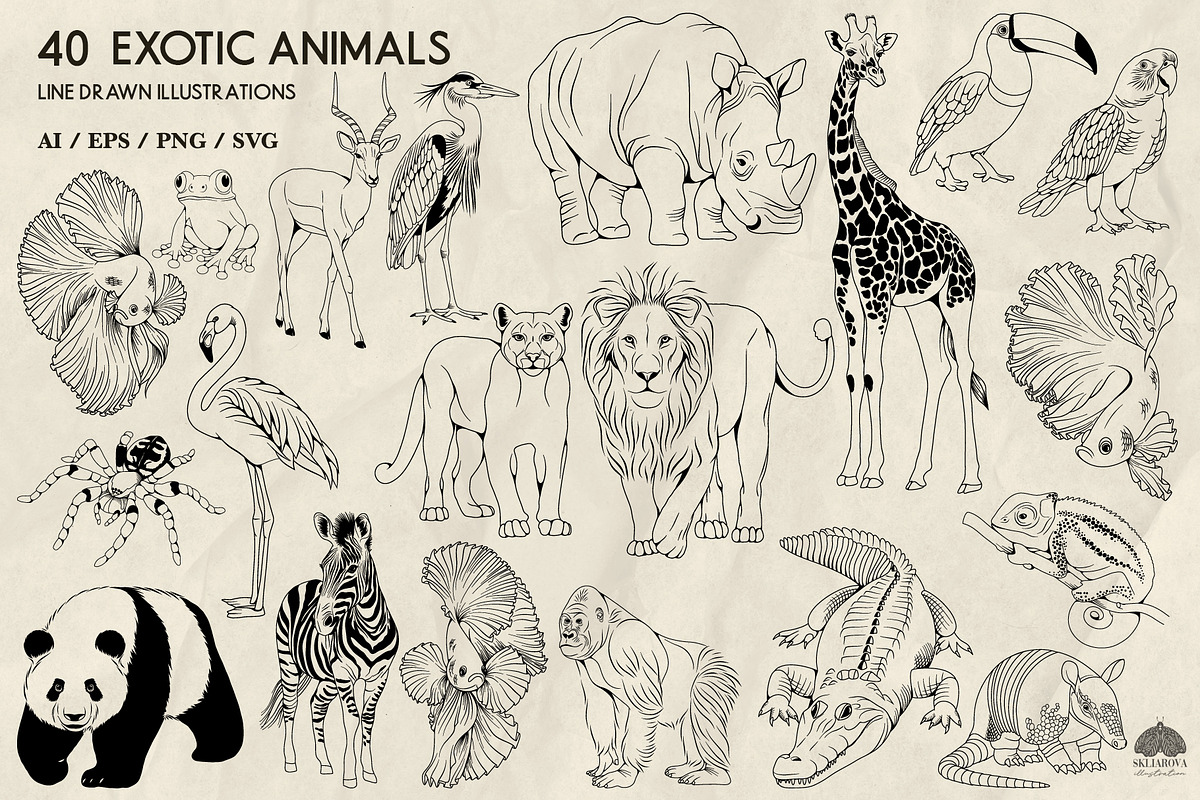 Exotic Animals Line Art + Procreate, an Illustration by Skliarova (Photo 2 of 3)