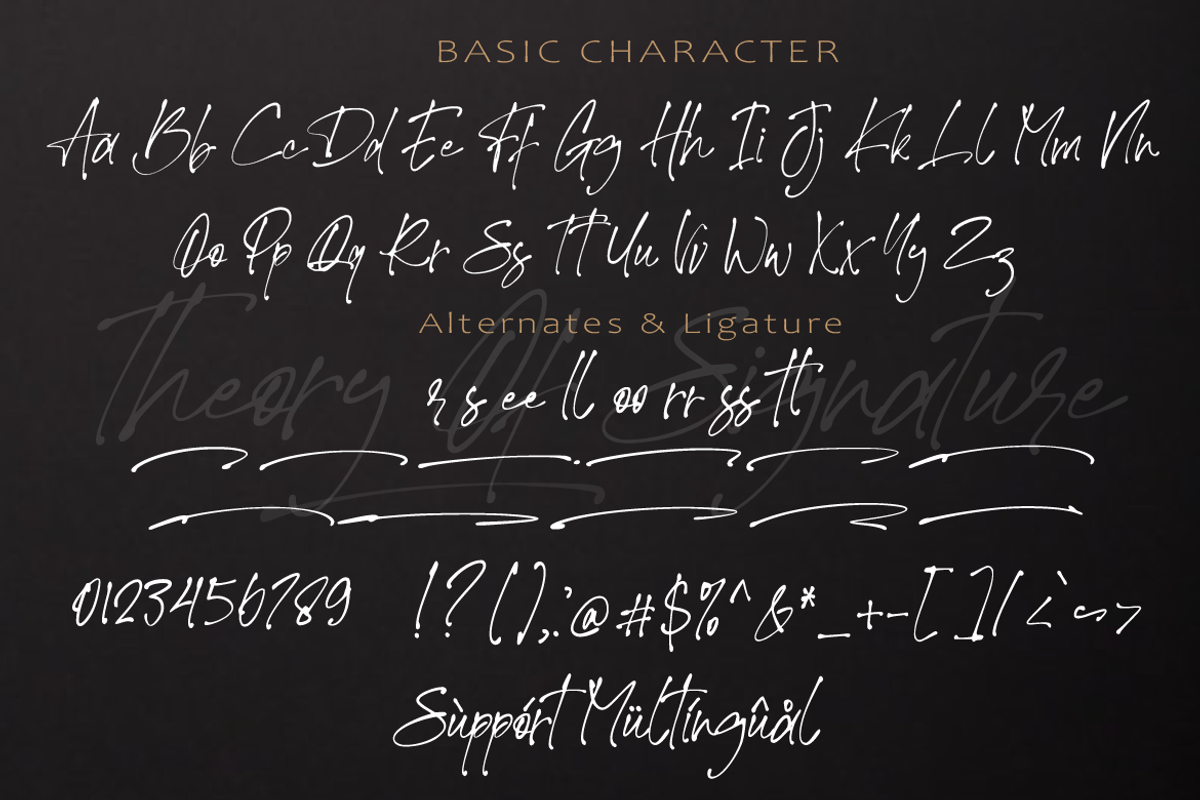 Theory Of Signature, a Script Font by AMINMARIO (Photo 8 of 9)
