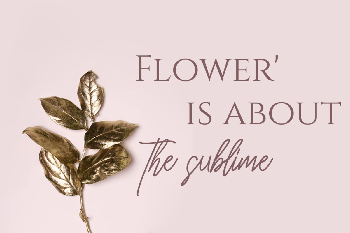 Herena Signature Font preview 2