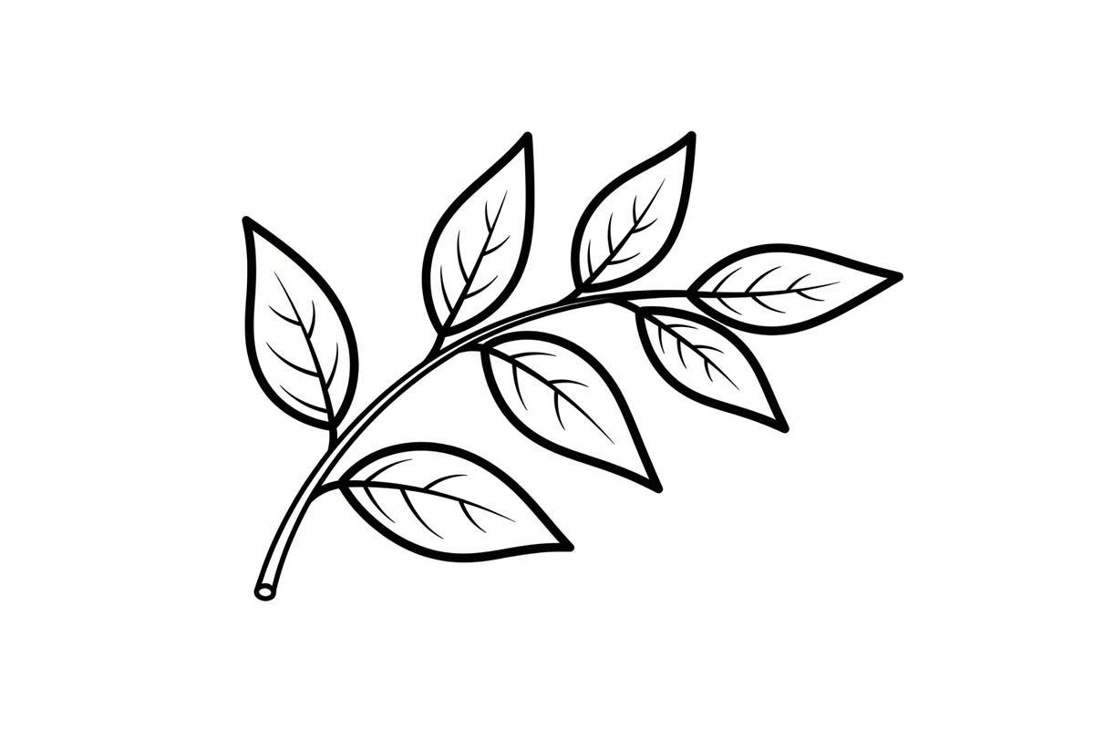 Hand Drawn Leaf Line Art Bundle, an Illustration by hafijul (Photo 34 of 51)