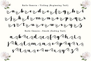 Baile Guneta, a Script Font by TM Type (Thumbnail 9 of 10)
