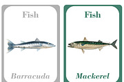 Printable Fish Learning Cards, a Card Template by DigitalsDesigns (Thumbnail 5 of 5)