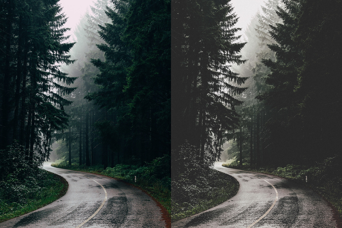 Lightroom Presets Moody Forest, an Action Add-On by MaisonLayers