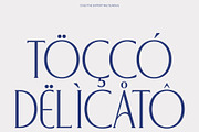 CS Blythe – Stylish Serif Font, a Serif Font by Craft Supply Co. (Thumbnail 7 of 8)