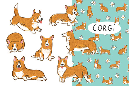 Corgi Dog