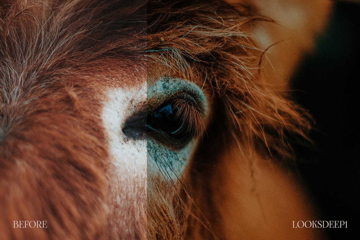 DEEP Series - Lightroom Presets, an Action Add-On by Lookslabs (Photo 2 of 11)