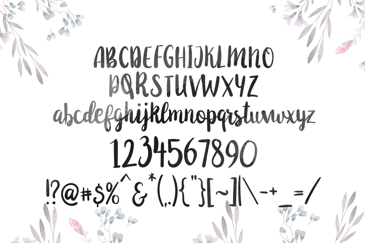 Anemone Script, a Handwritten Font by supfonts (Photo 5 of 9)