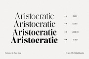 Lifestyle Icons | 8 Font Files, a Serif Font by Pista Mova (Thumbnail 4 of 21)