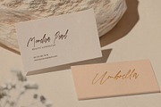 Renastica Modern Script Font, a Script Font by RantautypeStudio (Thumbnail 4 of 15)