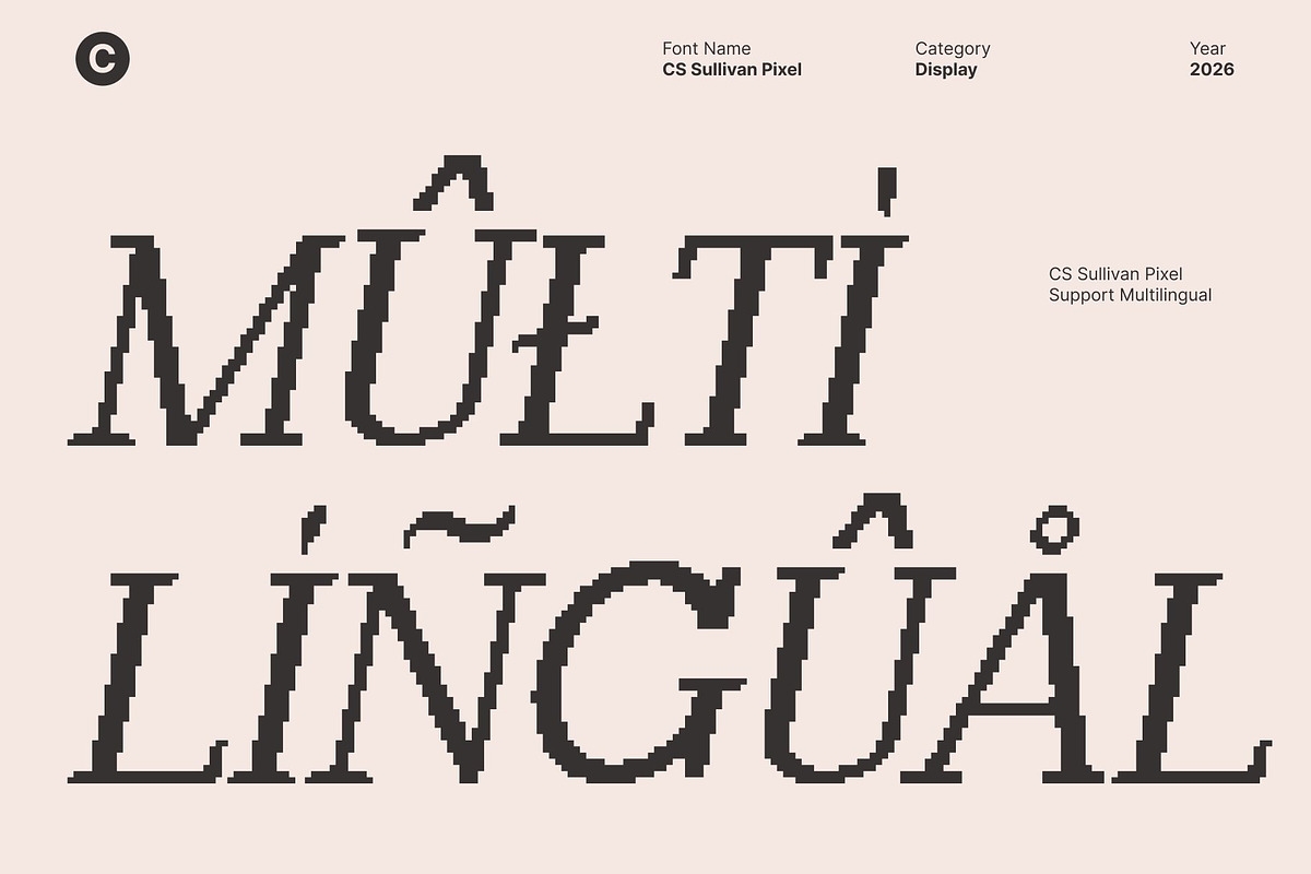 CS Sullivan Pixel, a Serif Font by Craft Supply Co. (Photo 6 of 8)
