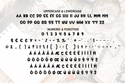 Cultural History | Script Font, a Script Font by Scratchones (Thumbnail 7 of 8)