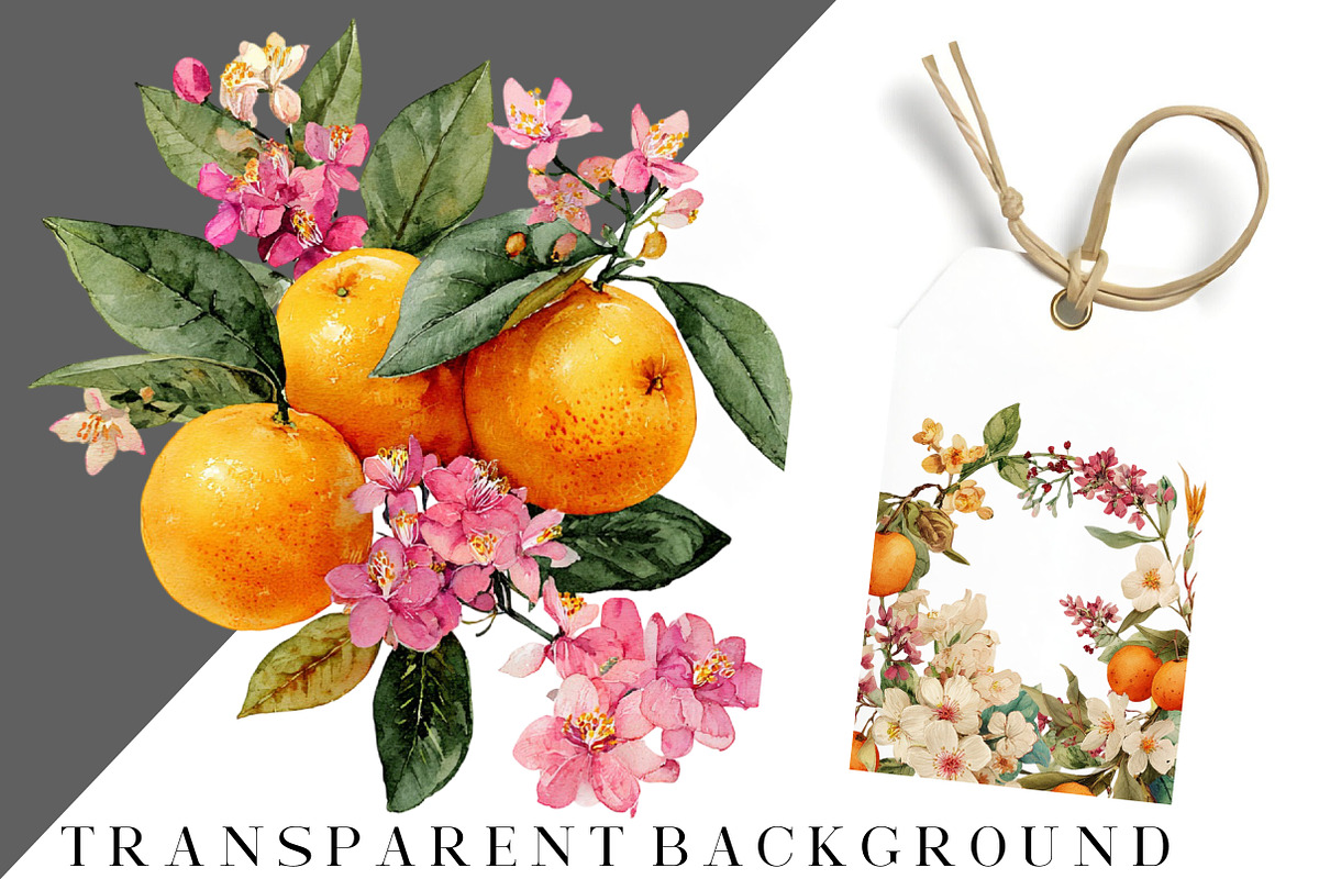 Watercolor Flower And Orange Clipart, an Illustration by DreamCafeArt (Photo 7 of 7)