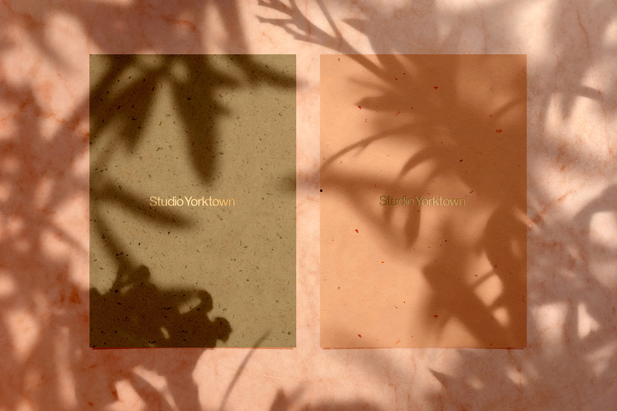 Madara - Botanical Shadow Overlays, a Texture Graphic by Studio Yorktown (Photo 10 of 17)