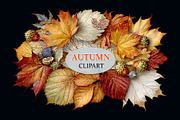 Luxury Clipart Autumn Leaves Wreath, a Decorative Illustration by Area (Thumbnail 27 of 40)