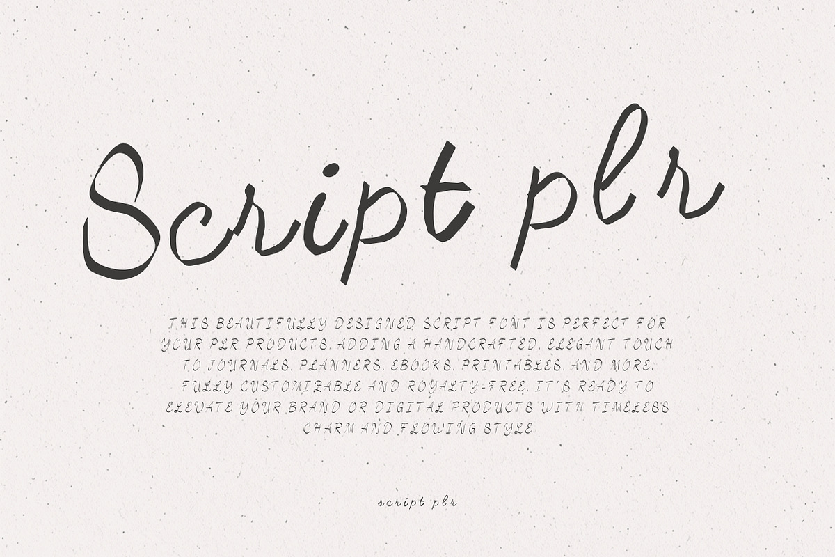 Script plr – Elegant Handcrafted, a Handwritten Font by adenpinkstore (Photo 1 of 4)