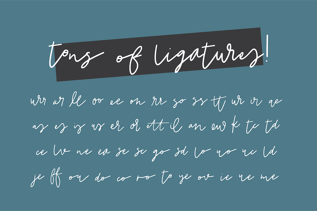 NEW YORK a Signature Script Font preview 6