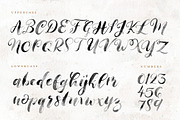 Handmaid SVG + Solid Font, a Handwritten Font by PinkHousePress (Thumbnail 3 of 8)