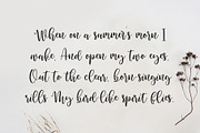 Herbal Infusion, a Handwritten Font by supfonts (Thumbnail 5 of 6)