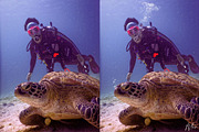 Underwater Bubble Photoshop Overlays, an Object Graphic by Prestige Photography (Thumbnail 8 of 12)