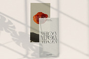 LT Verola – Rich Serif Ligature Type, a Serif Font by Luminotype (Thumbnail 11 of 15)