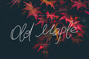 Old Maple, a Script Font by chekart (Thumbnail 1 of 5)