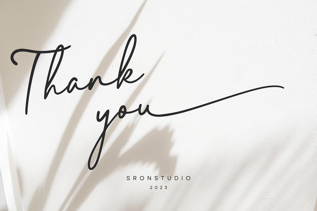Elegant Lady, a Script Font by Sronstudio (Photo 12 of 13)