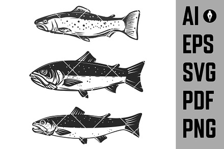 Set of trout fish illustrations SVG, an Icon by Vectorhight
