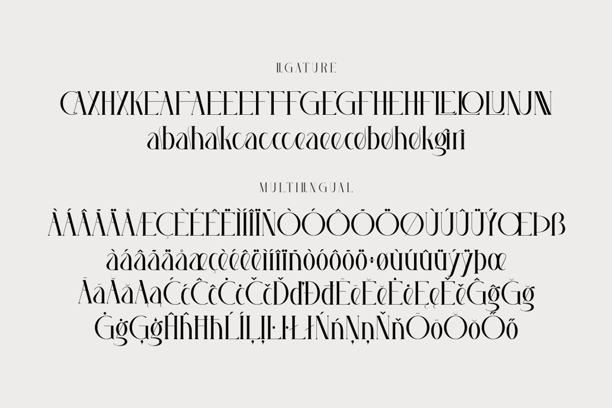 Hegelia, a Serif Font by Kenrichi (Photo 5 of 10)