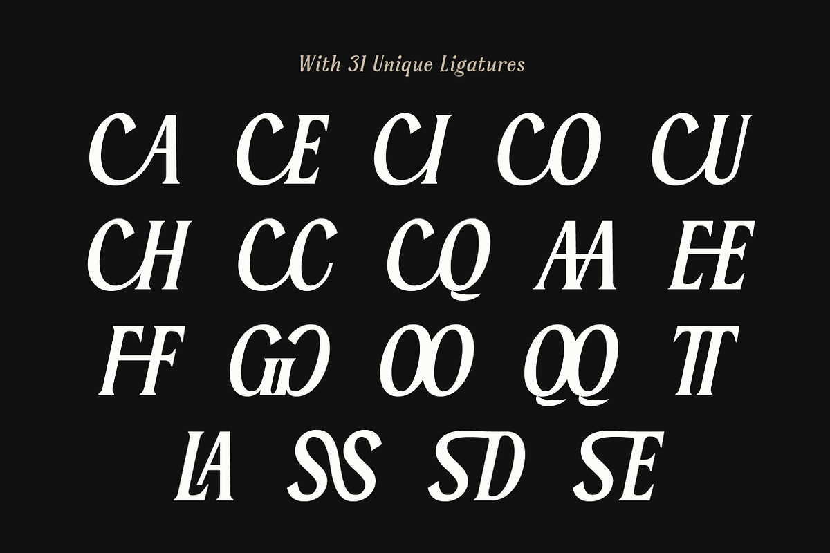 Serelia Serif Family | Intro 60% OFF, a Serif Font by Lettertype Studio (Photo 11 of 17)
