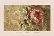 Heater Bellamore Signature Handwriti, a Handwritten Font by CreateBigSupply (Thumbnail 3 of 10)