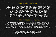 Rigotamy - Script Font, a Script Font by prps.std (Thumbnail 4 of 6)