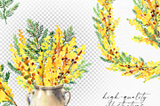 Yellow Mimosa Sunshine, an Illustration by Olga Koelsch (Thumbnail 5 of 7)