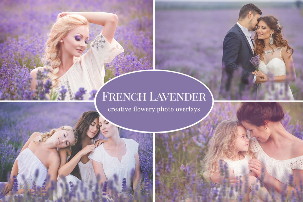French Lavender photo overlays set, an Object Graphic by BrownLeopard (Photo 1 of 6)
