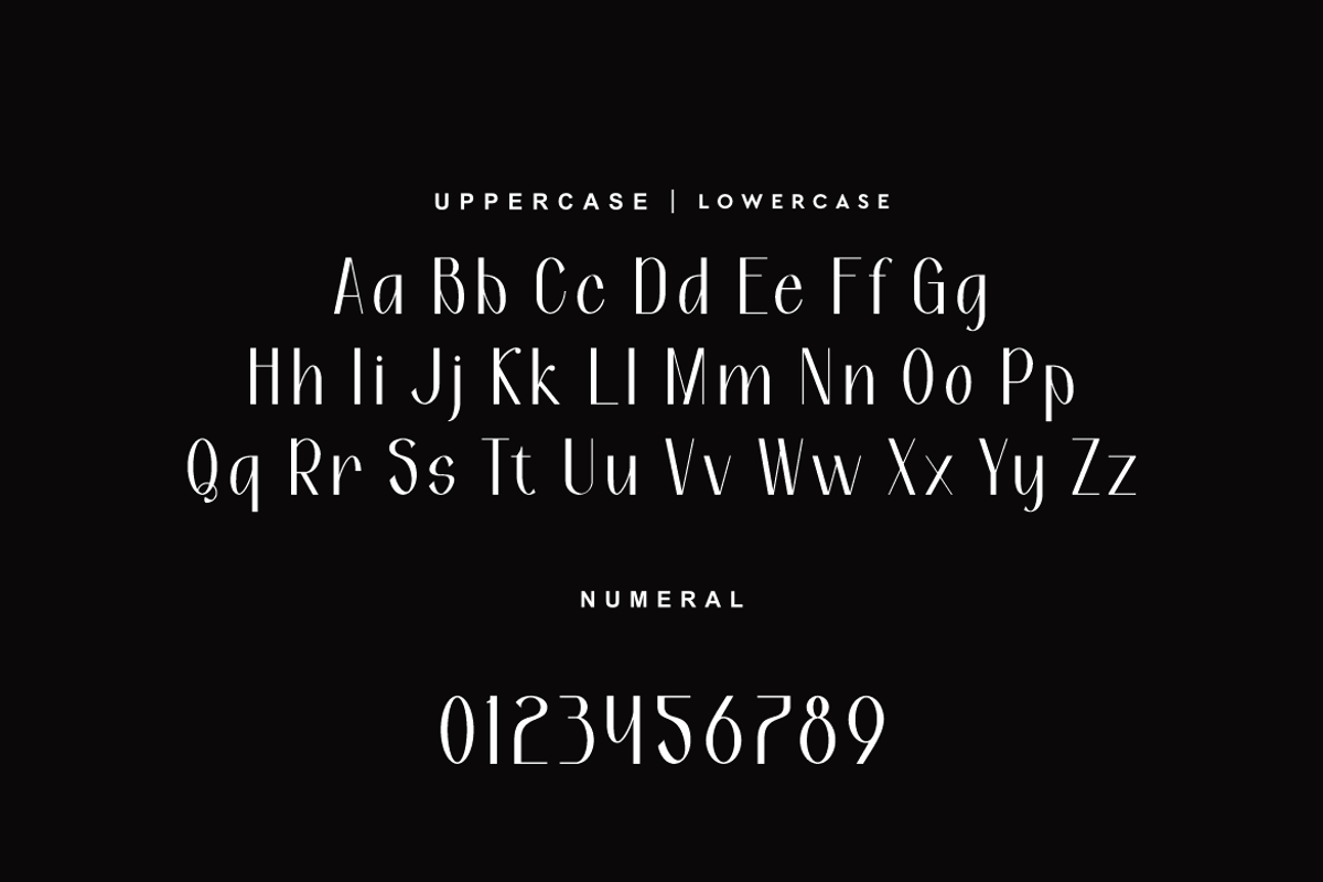Nedoyan - Elegant Sans Font, a Sans Serif Font by QR Design Studio (Photo 6 of 11)