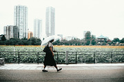 Kodak Ultramax Lightroom Presets, a Preset Add-On by Daily Studio (Thumbnail 6 of 10)