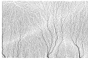 Growth - 50 Backgrounds, a Texture Graphic by GarryKillian (Thumbnail 41 of 51)