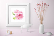 Watercolor Cherry blossom Sakura, an Object Illustration by Hanna Hryharenka (Thumbnail 8 of 8)