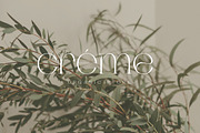 Dagstam - Artistic Serif Font, a Serif Font by Cruzine (Thumbnail 2 of 9)