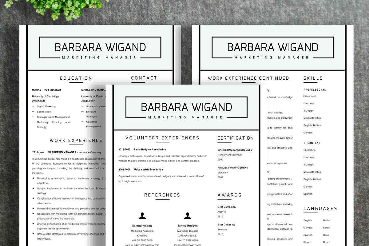 Resume Template | Barbara, a Resume Template by ResumeWorkshop (Photo 6 of 10)