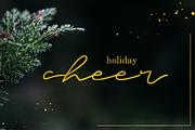 Tehika Script + Bonus, a Script Font by Flycatcher Design (Thumbnail 4 of 6)