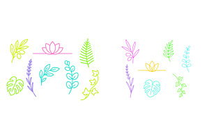 Botanical line art showcasing, an Illustration by ZinetroN
