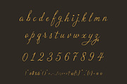 Arine Rosevaly - Romantic Script, a Script Font by HypeWorksCo (Thumbnail 15 of 15)