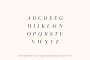 Flatline Serif Complete - 16 fonts, a Serif Font by Up Up Creative (Thumbnail 5 of 13)
