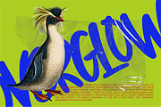 Overglows - Bold Brush Font, a Handwritten Font by Enxyclo Studio (Thumbnail 4 of 14)