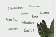 Leafy Plant Fun Typeface, a Sans Serif Font by Wandery Supply (Thumbnail 8 of 9)