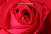 For Valentine's Day | LOVE PACK |, a Product Mockup by 2MK (Thumbnail 9 of 16)