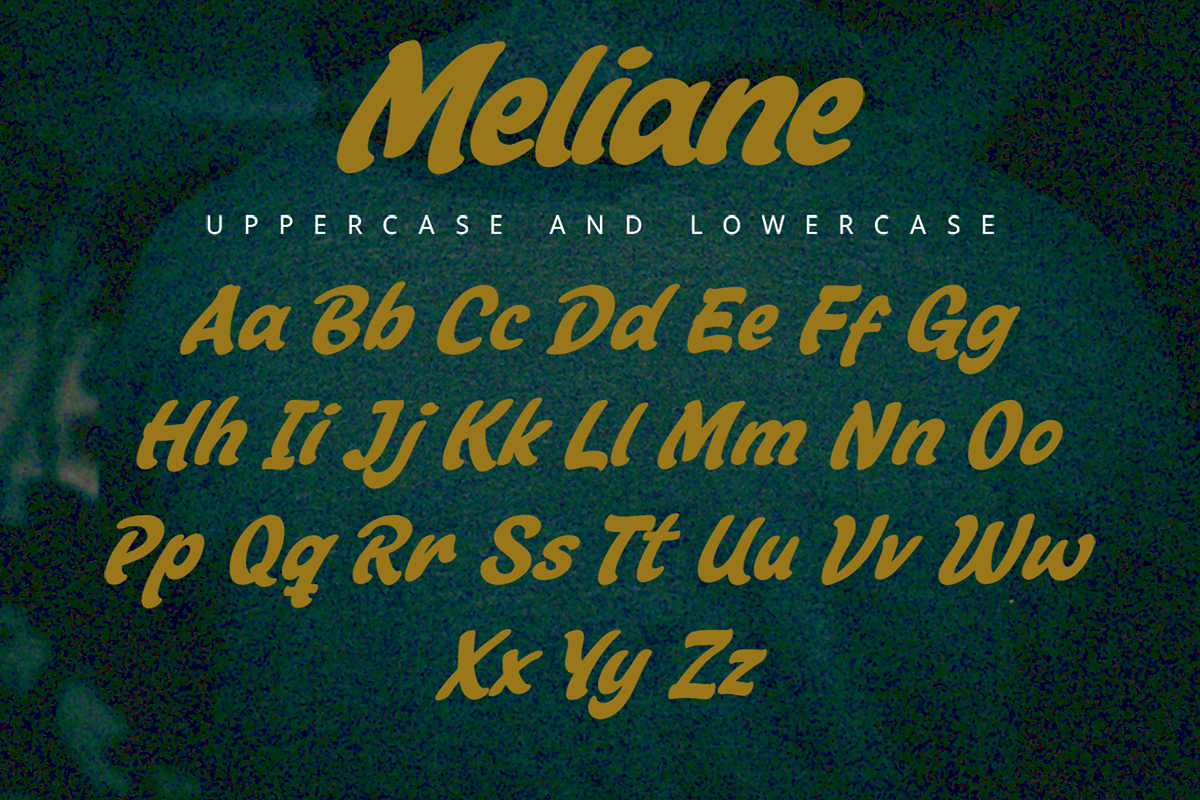 Meliane - An Italic Bold Font, a Sans Serif Font by overlaytemplates (Photo 5 of 5)